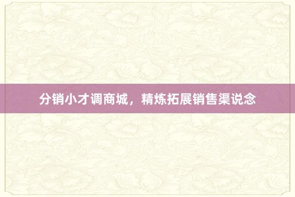 分销小才调商城，精炼拓展销售渠说念