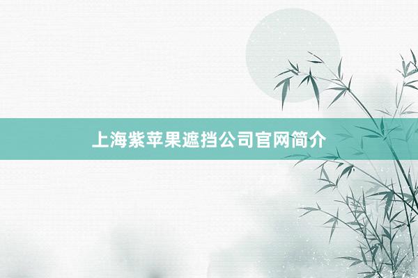 上海紫苹果遮挡公司官网简介