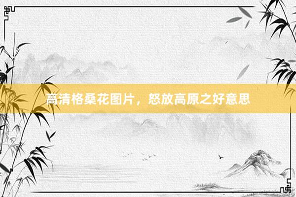 高清格桑花图片，怒放高原之好意思