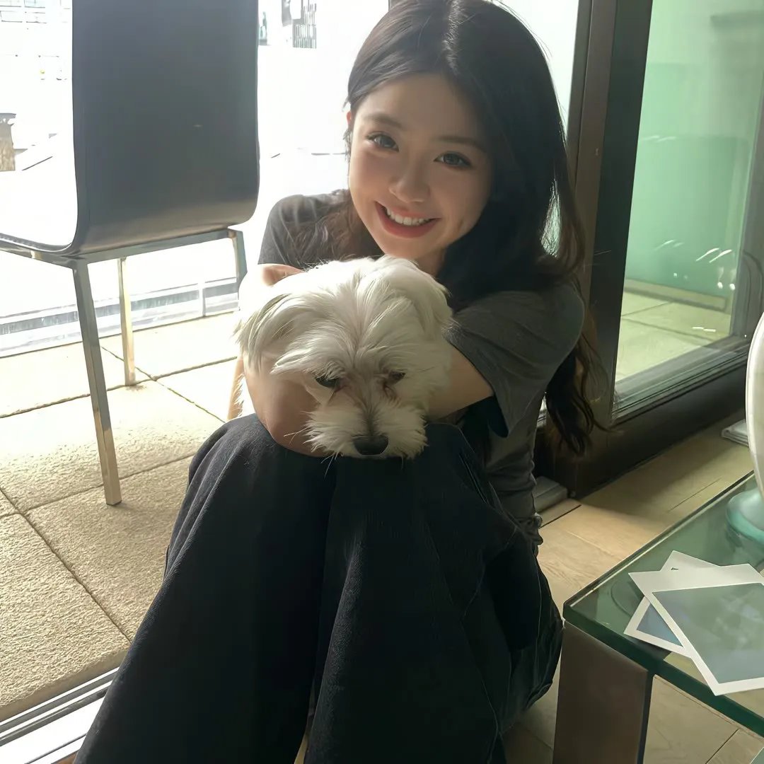猛犸复活